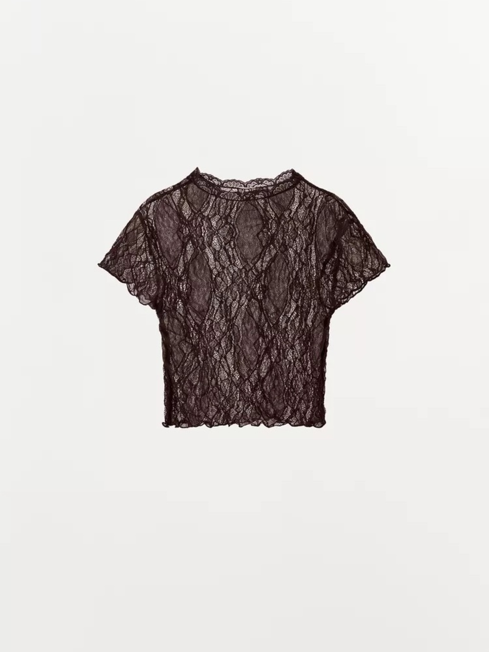 NWT Zara Brown Lace Crop Top